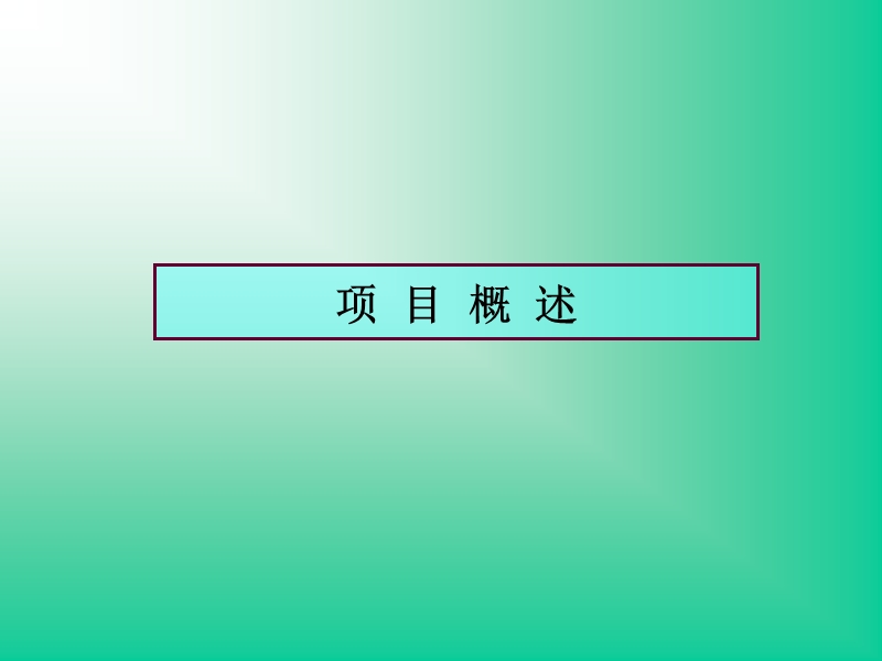 结题报告.ppt_第3页