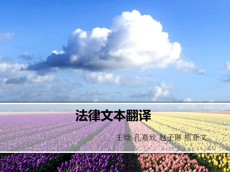 法律文本翻译.ppt_第1页