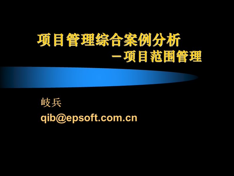 项目综合案例分析.ppt_第1页