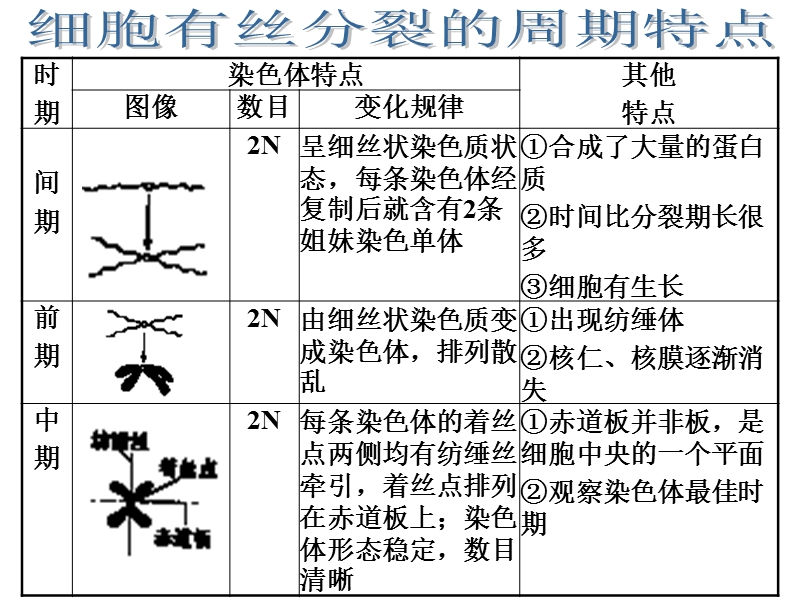 高一生物细胞的生命历程.ppt_第2页