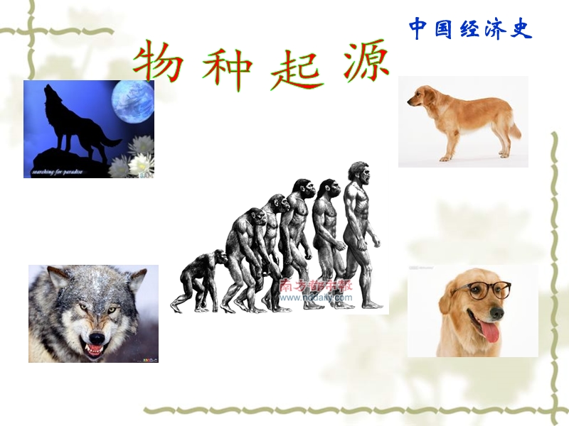 物种起源.ppt_第1页