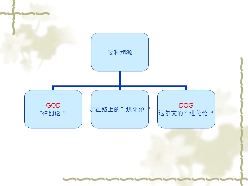 物种起源.ppt_第2页