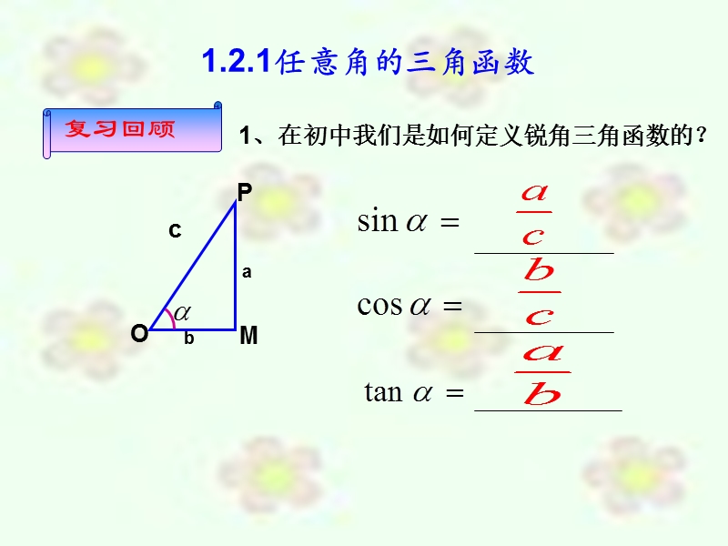 【教师参考】新课标人教a版必修4同课异构课件：1.2.1 任意角的三角函数1.ppt_第2页