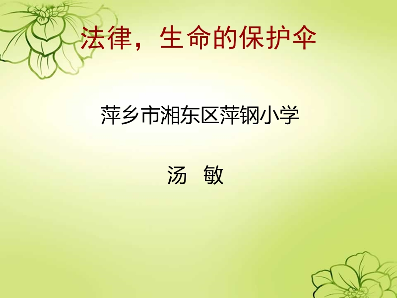 法律-生命的保护伞.ppt_第1页