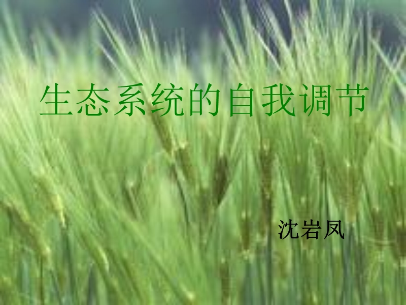 生态系统的自我调节.ppt_第2页