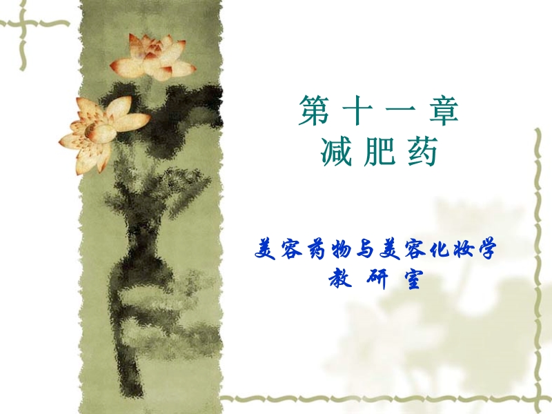 第十一章减肥药.ppt_第1页