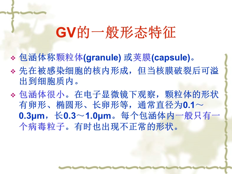 颗粒病毒(gv)简介.ppt_第3页