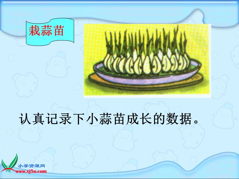 （北师大版）四年级数学上册课件 栽蒜苗一.ppt_第3页