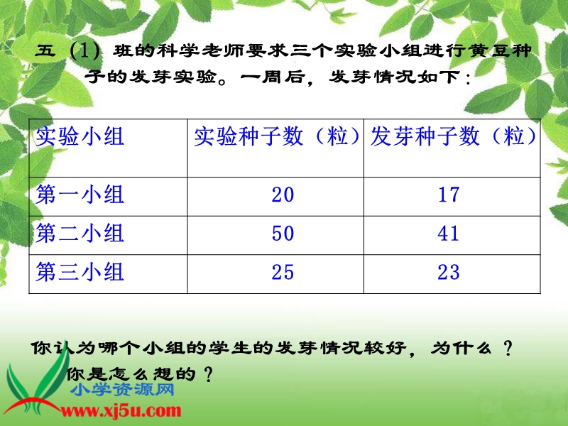 （北师大版）五年级数学下册课件 百分数的认识 11.ppt_第3页