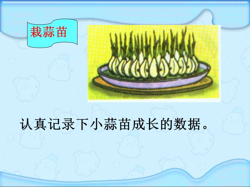 （北师大版）四年级数学上册课件 栽蒜苗.ppt_第3页