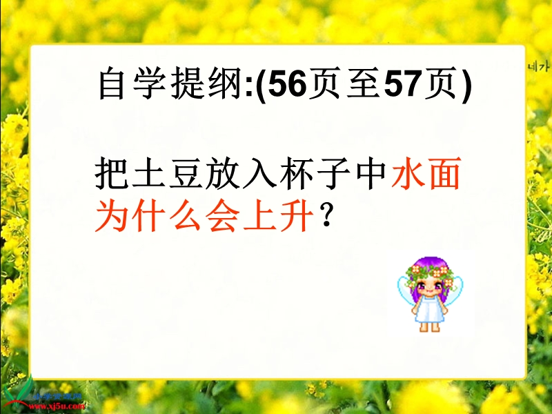 （北师大版）五年级数学下册课件 体积与容积练习课.ppt_第3页