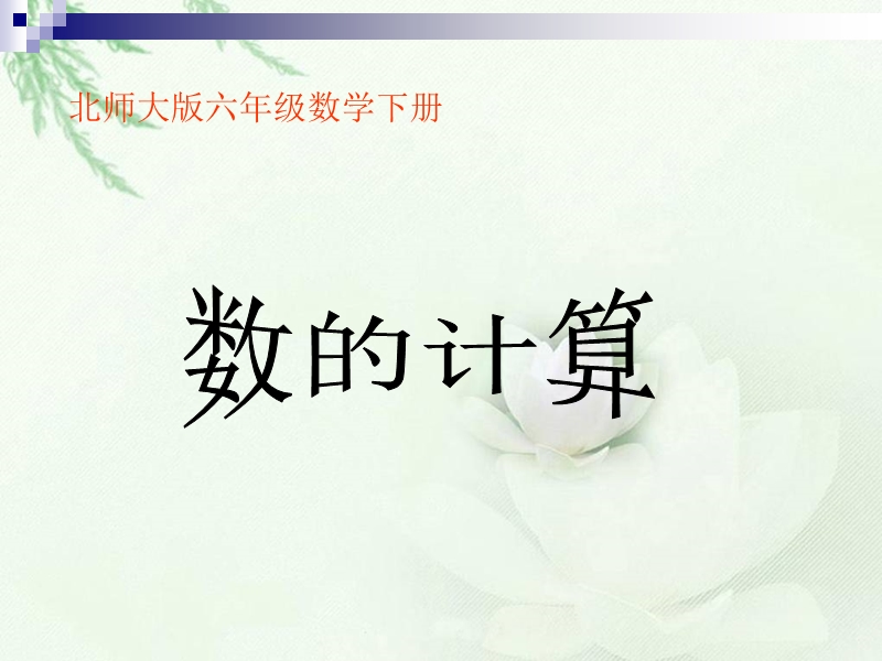 （北师大版）六年级数学下册课件 数的计算.ppt_第1页