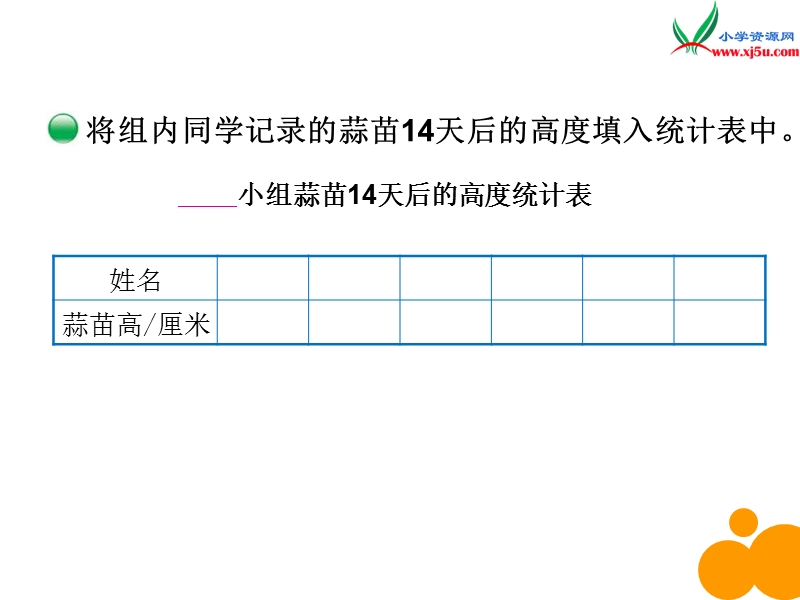 2015年新北师大版四年级数学下册课件：第6单元 栽蒜苗一.ppt_第3页