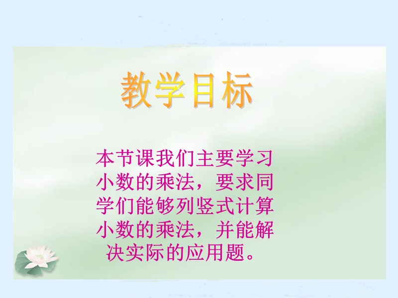 （北师大版）四年级数学下册课件 爬行最慢的哺乳动物1.ppt_第2页