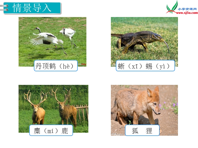 【人教新课标】2017秋三年级数学上册课件第4单元 第1课时 三位数加三位数（1）.ppt_第2页