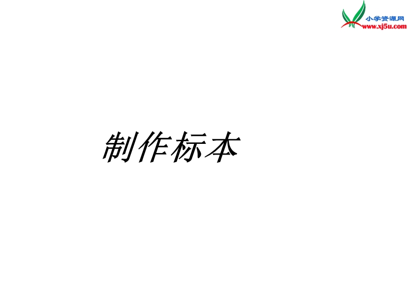 二年级数学上册 第七单元《制作标本 表内除法》课件1 青岛版.ppt_第1页