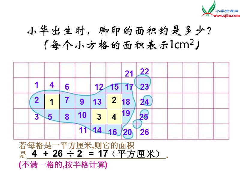 2017秋北师大版数学五年级上册第六单元《探索活动：成长的脚印》ppt课件1.ppt_第3页