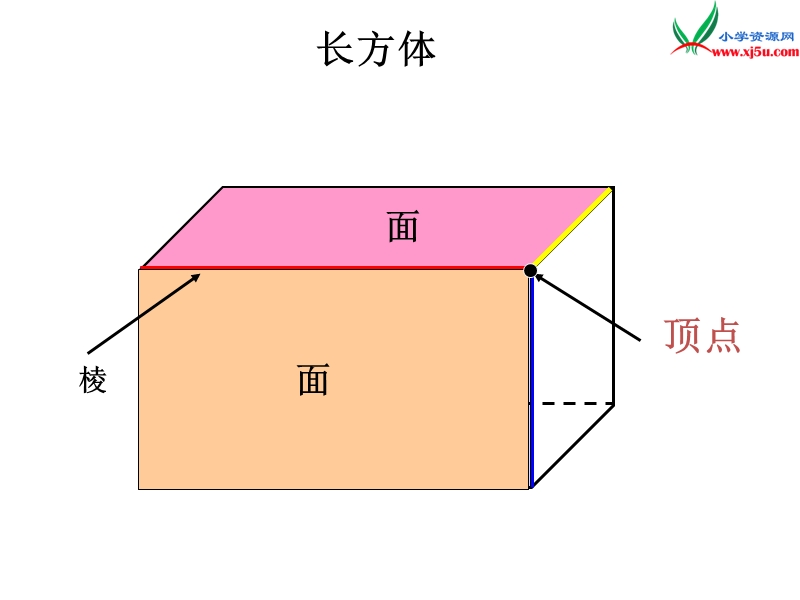 2016春青岛版数学五下第七单元《包装盒——长方体和正方体》课件5.ppt_第2页