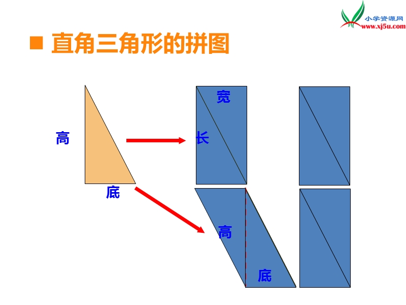 （西师大版）五年级数学上册第五单元 第3课时 三角形的面积（1）.ppt_第3页