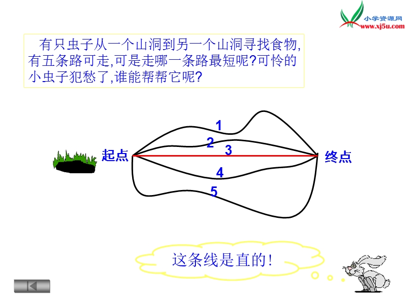 2017春（西师大版）四年级数学上册 第四单元 角《直线、射线和角》课件.ppt_第3页