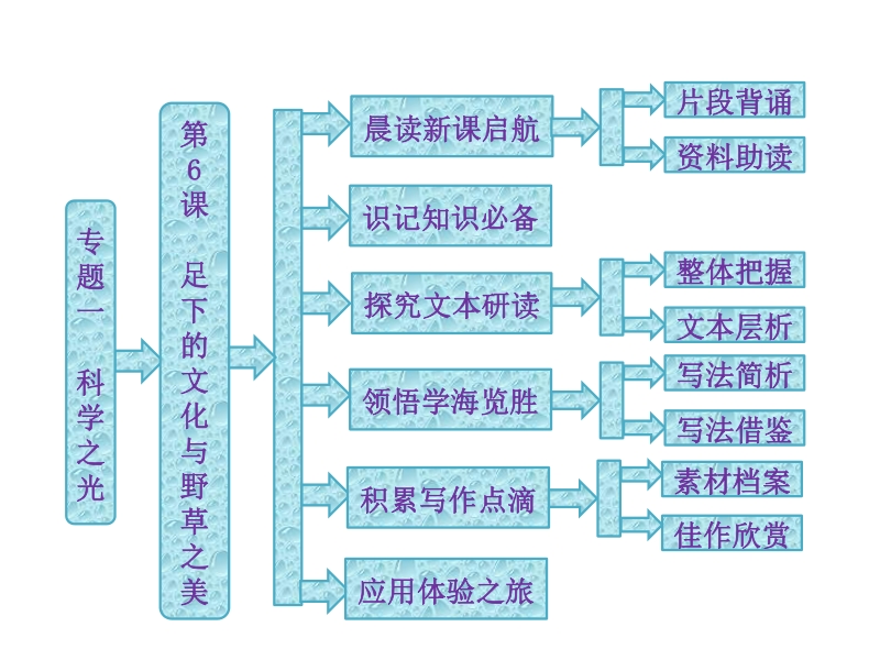 2015-2016学年苏教版必修五《足下的文化与野草之美》  课件（66张）.ppt_第1页