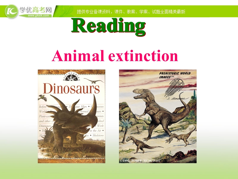 2018年高一英语人教版必修2 unit 4 wildlife protection period 3 课件1（共23张ppt）.ppt_第3页