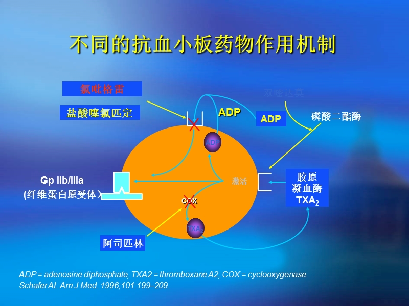 pci后抗血小板治疗(tcc).ppt_第3页