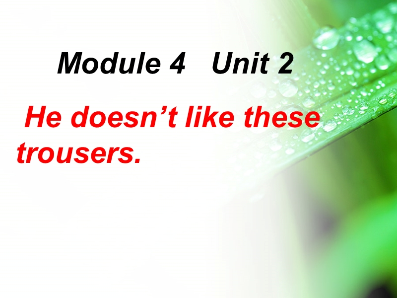 二年级上英语课件module 2 unit2he does not like these trousers外研版（一起）.ppt_第1页