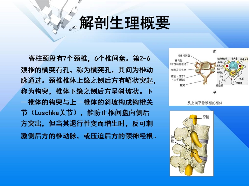 三小定点整脊恢复神经根型颈椎病临床手法演示.ppt_第3页