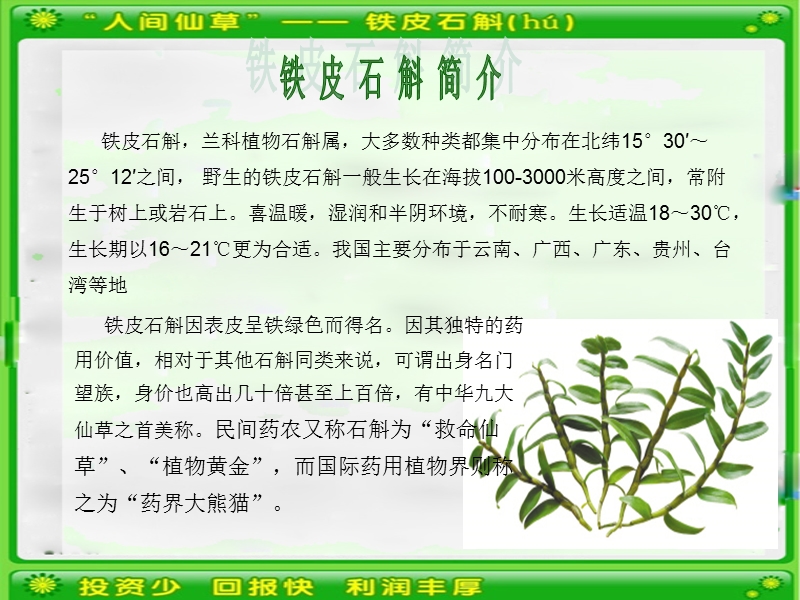 2012铁皮石斛温室大棚种植技术.ppt_第2页