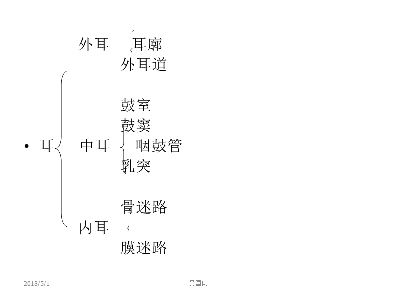 4耳解剖生理.ppt_第2页