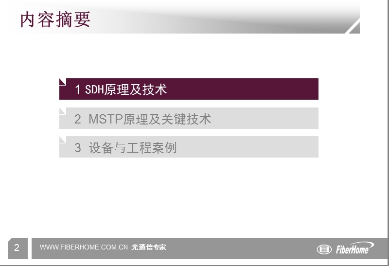 wdm关键技术及其对ip业务的承载mstp原理.ppt_第2页