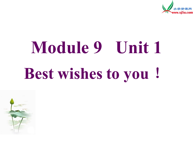 2016春外研版（三起）六年级下册module 9 unit 1《best wishes to you》ppt课件2.ppt_第1页