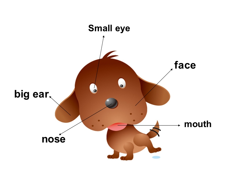 三年级上册英语课件unit 3 look at my nose  lesson 15 人教（精通）.ppt_第2页