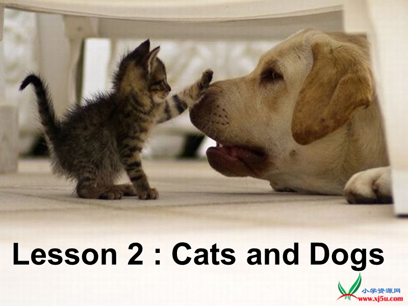 2016春冀教版英语三下《lesson 2 cats and dogs》ppt课件4.ppt_第1页