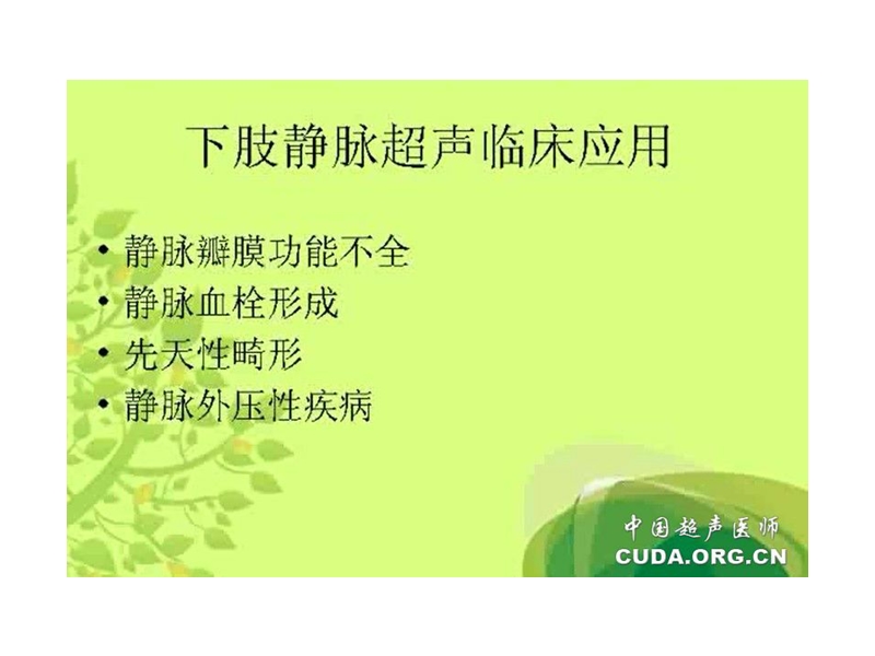 下肢静脉检查.ppt_第2页