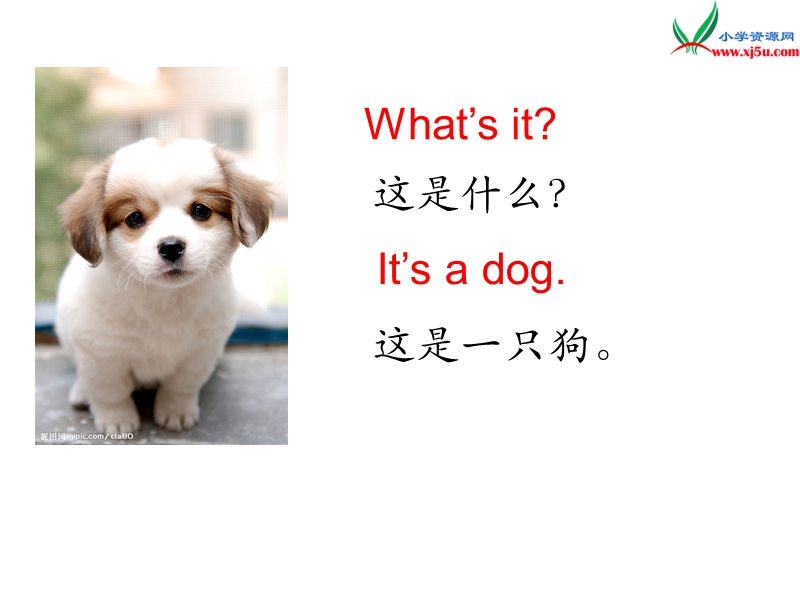 2016秋湘少版英语三年级上册unit 7《it’s a dog》ppt课件.ppt_第2页