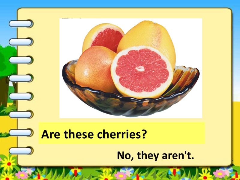 五年级上册英语课件-unit 6 it's a grapefruit lesson 33-2.ppt_第3页