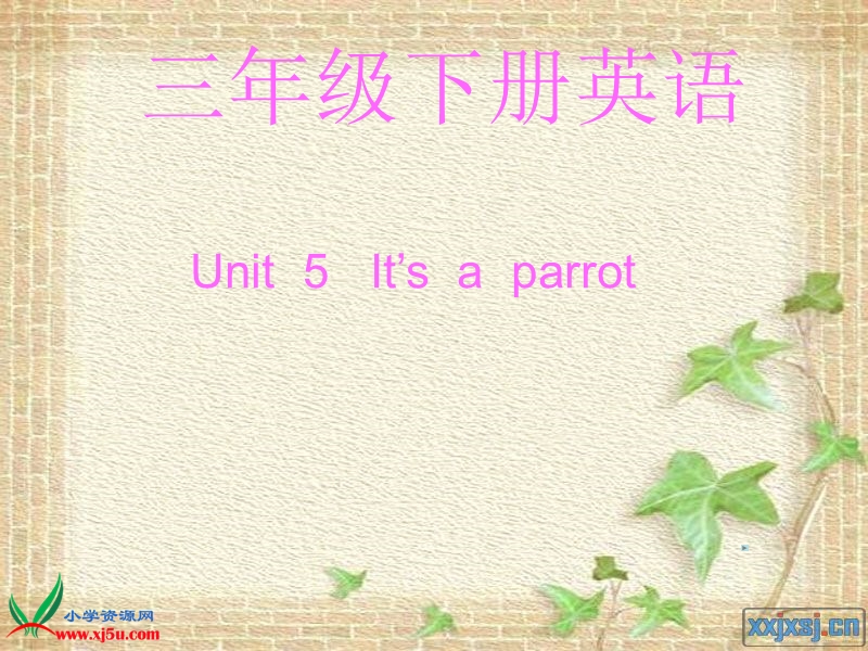 2016春人教版（精通）英语三下《unit 5 it’s a parrot》ppt课件5.ppt_第1页