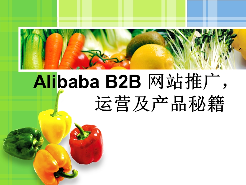 alibaba_b2b_网站推广_运营及产品秘籍.ppt_第1页