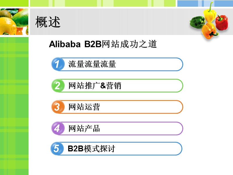 alibaba_b2b_网站推广_运营及产品秘籍.ppt_第2页