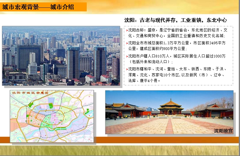 2012沈北农资城项目策划报告竞标稿100p.ppt_第3页