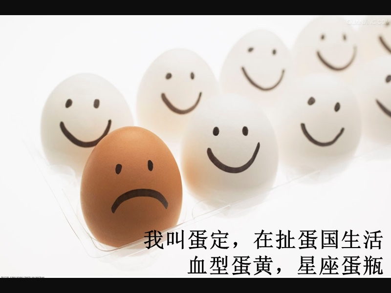 一个鸡蛋的故事.ppt_第2页