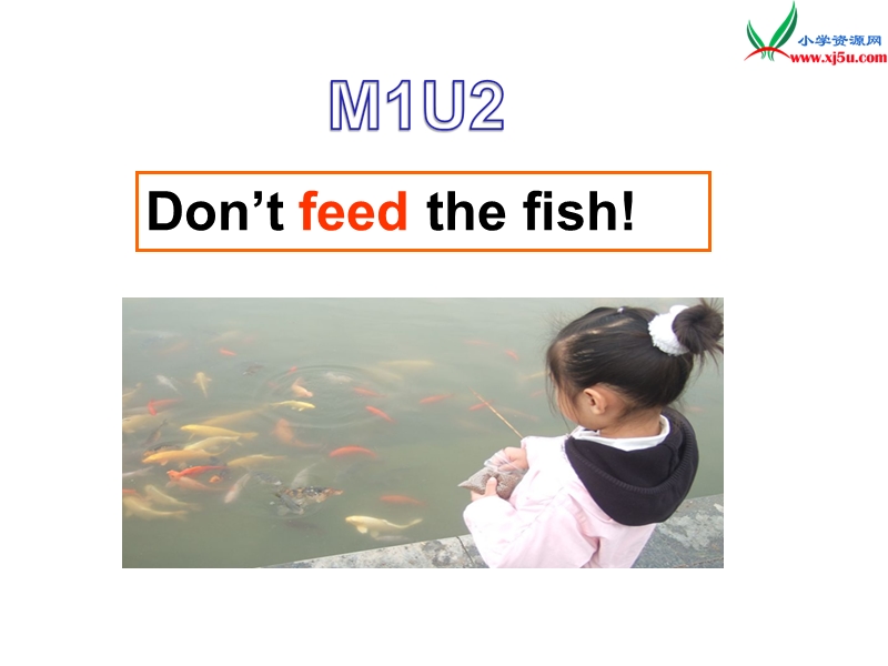 2016春外研版（一起）四下module 1 unit 2《don’t feed the fish》ppt课件3.ppt_第1页