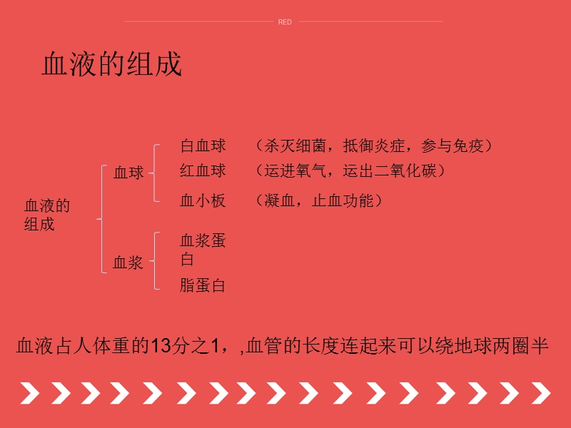 万病源于血污.ppt_第2页