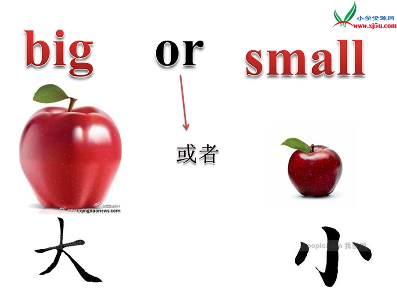 2016春三年级英语下册 unit 1《big or small》单词教学课件 广东版开心.ppt_第2页