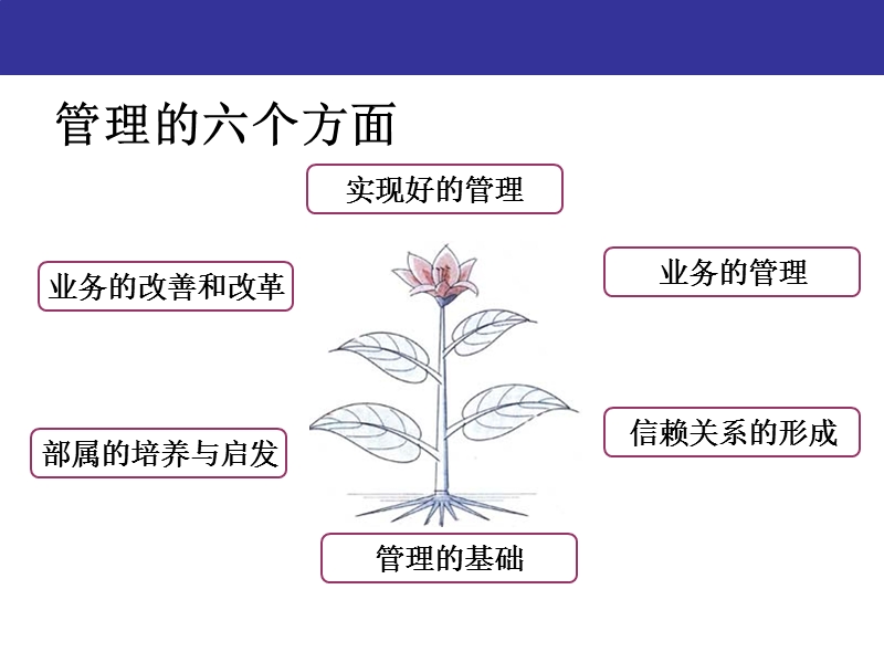 mtp培训课程讲义.ppt_第3页