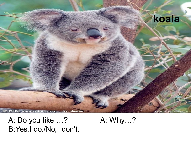 2016春外研版（一起）四下module 9 unit 1《why do you like australia》ppt课件1.ppt_第3页