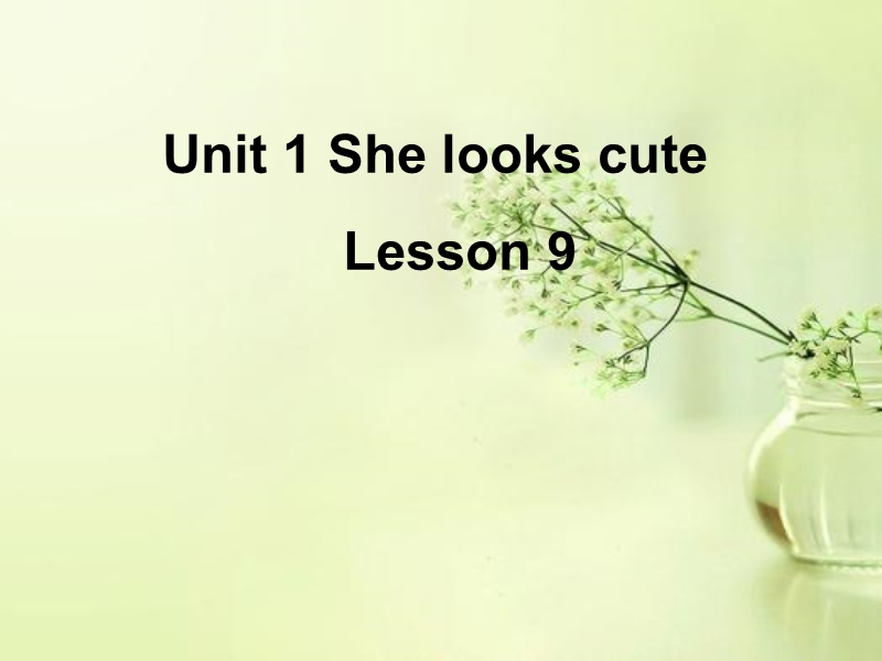 五年级上英语课件unit+2+she+looks+cute.+lesson+9+课件2人教精通版.ppt_第1页