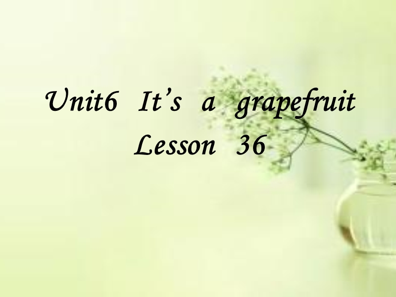 五年级上英语课件unit+6+it+s+a+grapefruit+lesson+36+课件2人教精通版.ppt_第1页